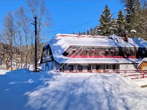 Prodej rodinného domu, Josefův Důl, 550 m2