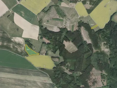 Prodej louky, Sázavka, 8453 m2