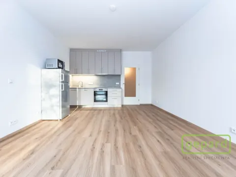 Pronájem bytu 1+kk, Praha, Danielova, 34 m2