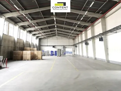 Pronájem skladu, Břeclav, Mládežnická, 793 m2