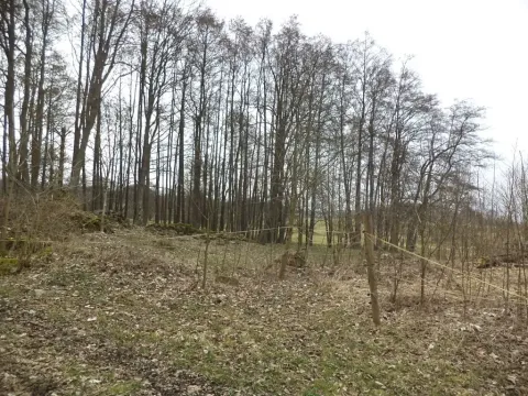 Dražba pozemku pro bydlení, Dolní Nivy, 1221 m2
