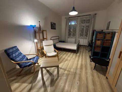 Pronájem bytu 1+1, České Budějovice - České Budějovice 6, Mánesova, 44 m2