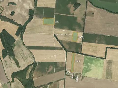 Prodej pole, Hrušovany nad Jevišovkou, 90356 m2