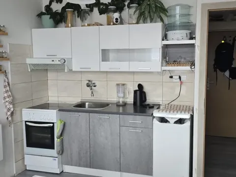 Pronájem bytu 1+1, Ústí nad Labem - Neštěmice, Seifertova, 36 m2