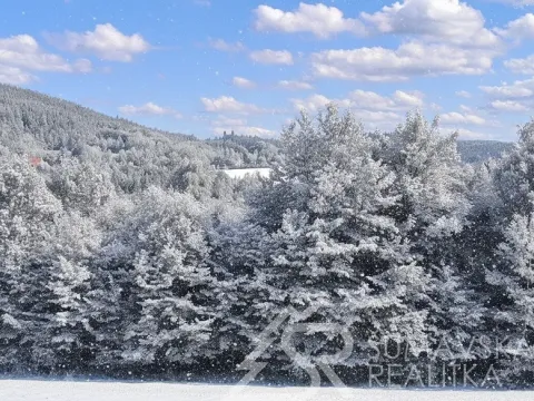 Prodej pozemku, Sušice - Záluží, 2272 m2
