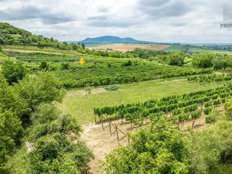 Prodej sadu/vinice, Pouzdřany, 1120 m2