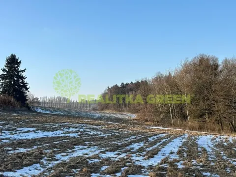 Prodej lesa, Světlá nad Sázavou, 48055 m2