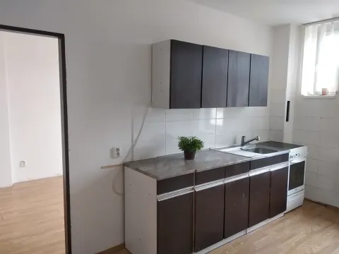 Pronájem bytu 2+1, Praha - Nusle, Sekaninova, 49 m2