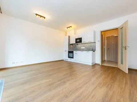 Pronájem bytu 1+kk, Praha - Záběhlice, Klapálkova, 31 m2