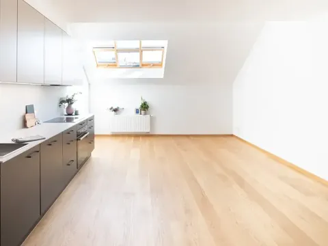 Pronájem bytu 3+kk, Praha - Žižkov, Jeronýmova, 77 m2