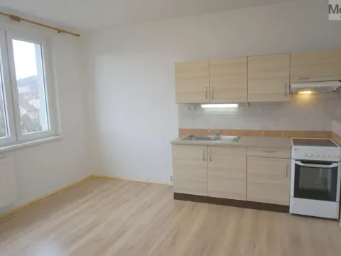 Pronájem bytu 1+1, Chomutov, Matěje Kopeckého, 36 m2