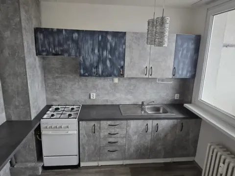 Pronájem bytu 1+1, Most, Višňová, 34 m2