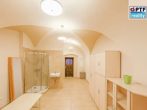 Pronájem obchodního prostoru, Plzeň, Dominikánská, 25 m2