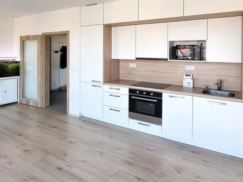 Pronájem bytu 1+kk, Opatovice nad Labem, Žákova, 49 m2