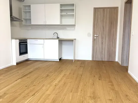 Pronájem bytu 2+kk, Brandýs nad Labem-Stará Boleslav, Dřevčická, 58 m2