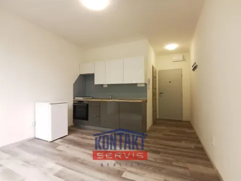 Pronájem bytu 1+kk, České Budějovice - České Budějovice 3, Plzeňská, 21 m2