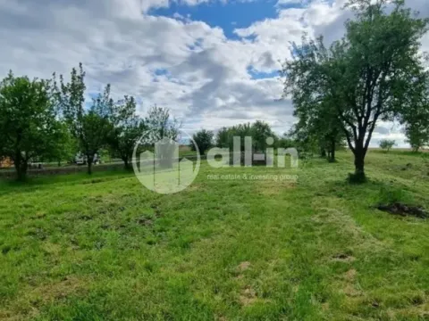 Prodej sadu/vinice, Tištín, 1062 m2