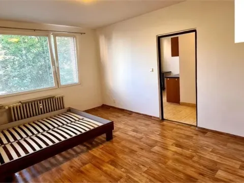 Pronájem bytu 1+1, Hradec Králové, Štefánikova, 38 m2