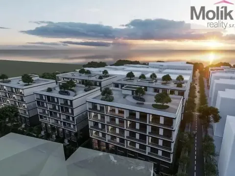 Prodej bytu 3+kk, Golem, 298 m2