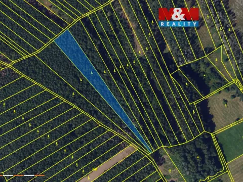 Prodej lesa, Vanovice, 5370 m2