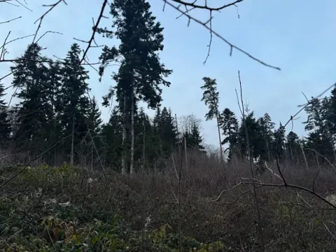 Prodej podílu lesa, Zálezly, 799 m2