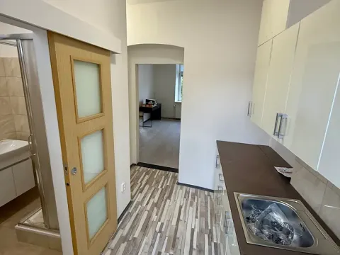 Pronájem bytu 1+kk, Brno, Dukelská třída, 28 m2