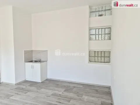 Pronájem komerční nemovitosti, České Budějovice - České Budějovice 2, Na Zlaté stoce, 31 m2