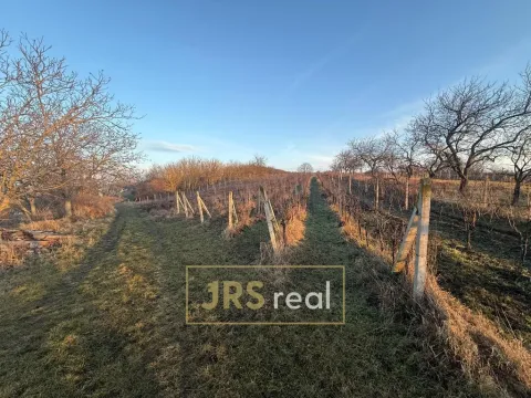 Prodej pozemku, Kobylí, 3139 m2