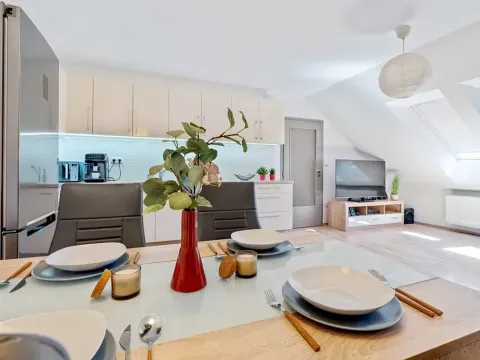 Pronájem bytu 2+kk, Brno, Cejl, 58 m2