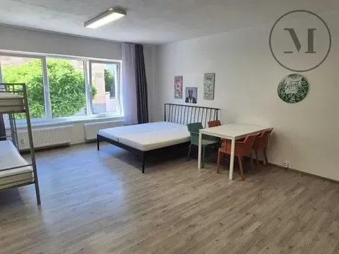 Pronájem bytu 1+kk, České Budějovice, Skuherského, 45 m2