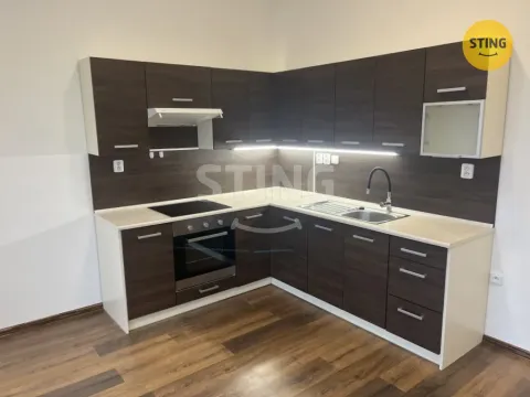 Pronájem bytu 2+kk, Opava, Hviezdoslavova, 52 m2