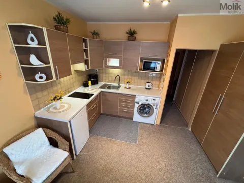 Pronájem bytu 1+1, Most, Marš. Rybalka, 35 m2