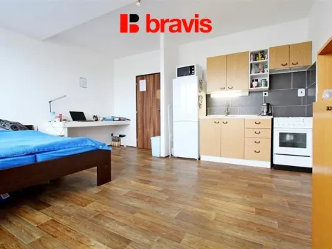 Pronájem bytu 1+kk, Brno, Oblá, 33 m2