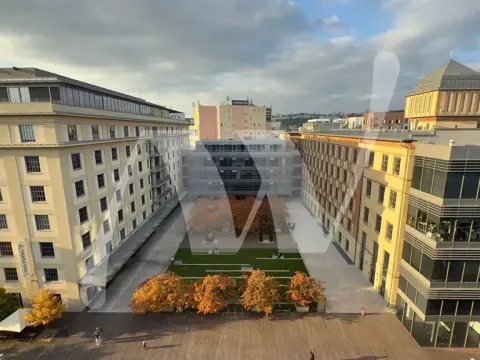 Pronájem kanceláře, Praha - Holešovice, Jankovcova, 330 m2