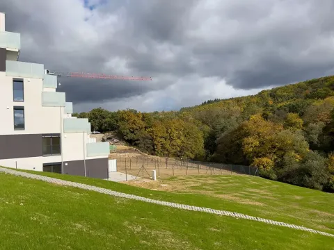 Prodej bytu 2+kk, Brno, Ondrova, 74 m2