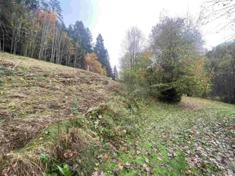 Prodej pozemku, Hartmanice, 2902 m2