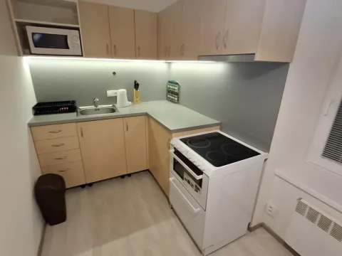 Pronájem bytu 1+1, Brno - Husovice, Svitavská, 31 m2