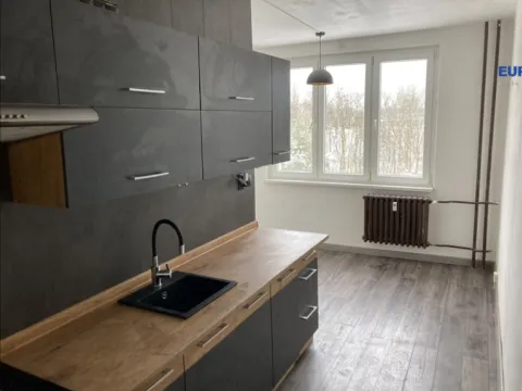 Pronájem bytu 2+1, Cheb, Lesní, 78 m2