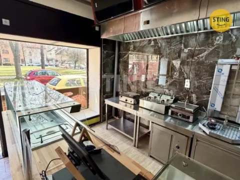 Pronájem obchodního prostoru, Kralupy nad Vltavou, 50 m2