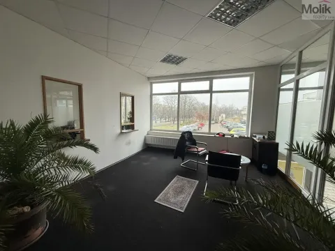 Pronájem obchodního prostoru, Most, Moskevská, 41 m2