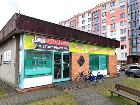 Pronájem obchodního prostoru, Valašské Meziříčí, Králova, 177 m2