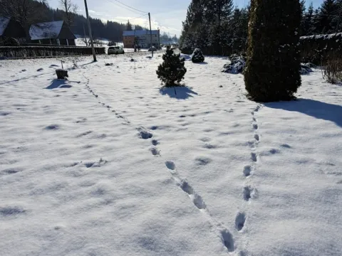 Prodej pozemku pro bydlení, Teplice nad Metují - Bohdašín, 1014 m2
