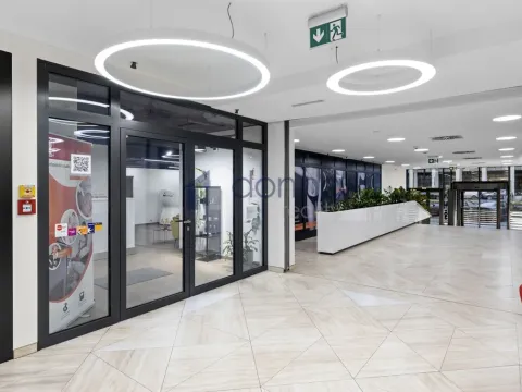 Pronájem obchodního prostoru, Praha, Sokolovská, 363 m2