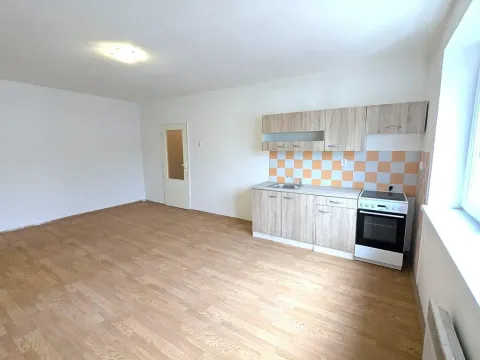 Pronájem bytu 1+kk, Louny, Palackého, 37 m2