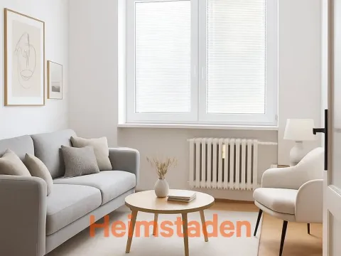 Pronájem bytu 1+1, Ostrava - Mariánské Hory, Zelená, 38 m2