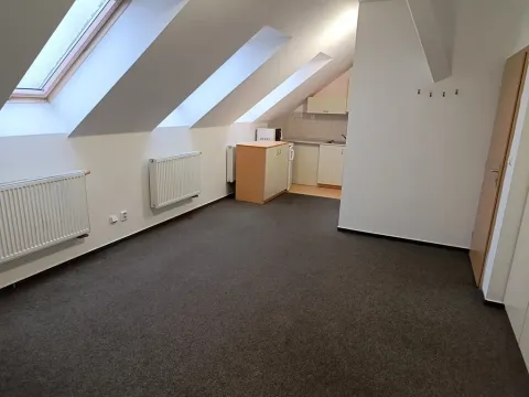 Pronájem bytu 1+kk, Ostopovice, Družstevní, 32 m2