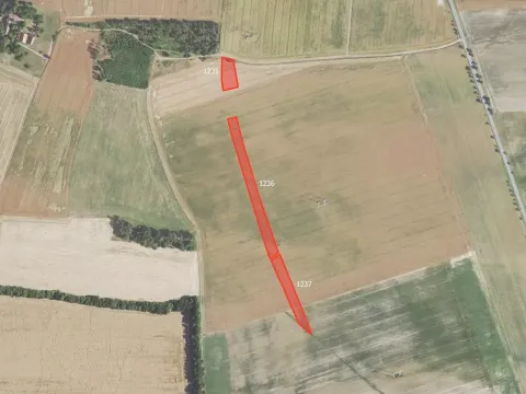 Prodej pole, Slabce, 8237 m2