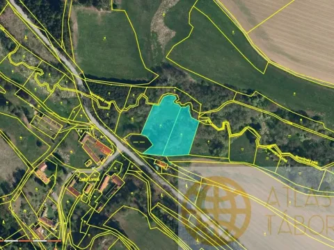 Prodej pole, Pojbuky - Zadní Lomná, 4518 m2