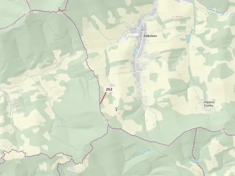 Dražba lesa, Zděchov, 273 m2