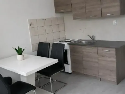 Pronájem bytu 3+1, Most, K. H. Borovského, 55 m2